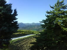 Le mandriole panorama